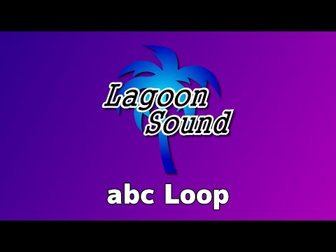 abc LOOP ( a / b / c LOOP or All True-Bypass )
