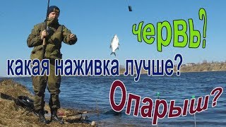 Ссылка