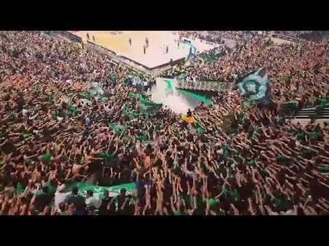 Horto Magiko - Gate 13