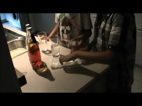 EPIC DRINK TIME - THE SCHWEPPESATRON