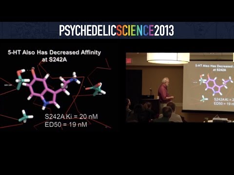 Neuroscience of Psychedelics Workshop - Part 2/4