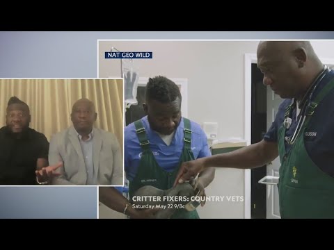 Black veterinarians break the mold, talk season 2 of 'Critter Fixers: Country Vets'
