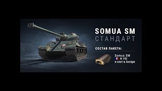 [샤우팅,욕설주의]Somua SM 시승기 두번째 / 프랑스 8티어 헤비 5클립 골탱!