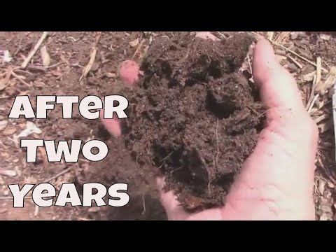 Wood Chip Gardening - What The Wood Chips Look Like After Two Years.
