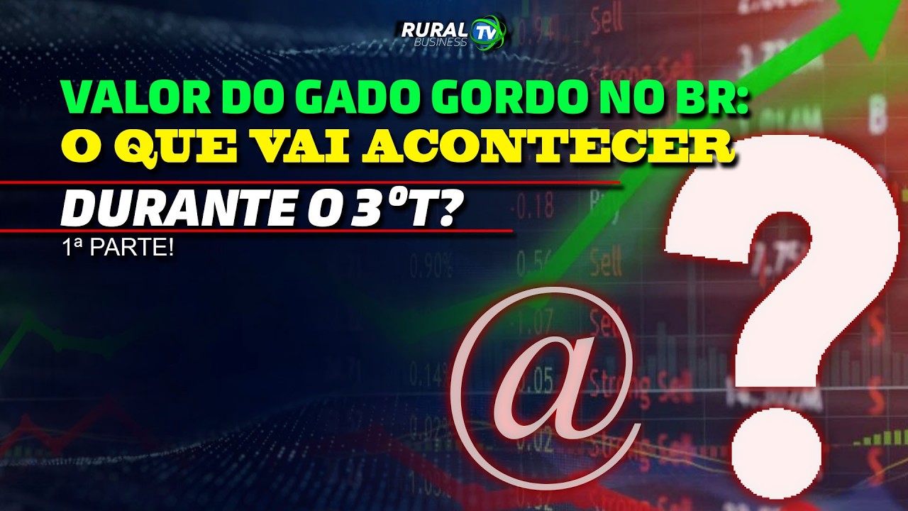 VALOR DO GADO GORDO NO BR: O QUE VAI ACONTECER DURANTE O 3ºT? – 1ª PARTE!