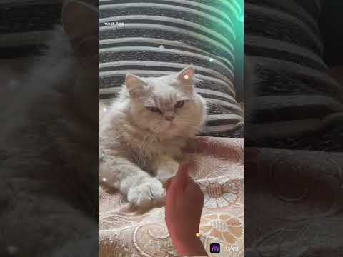 tune, 💕💕💕💕💕