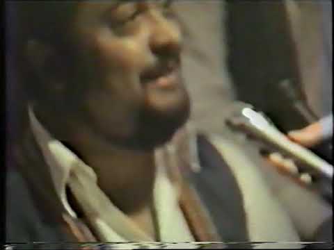 Viragh Tibor - Hollandia