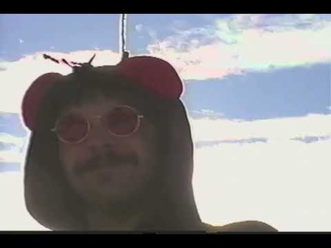 regals - wallfly (official music video}