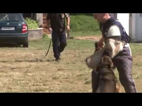 Bűnmegelőzési ifjúsági tábor