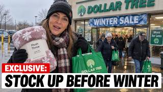 Winter Is Coming: 15 Dollar Tree Items to Buy Before They're Gone