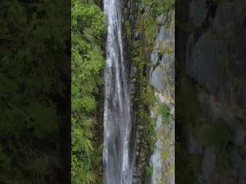 Viaducto del Río Toro | Campo Quijano | Salta