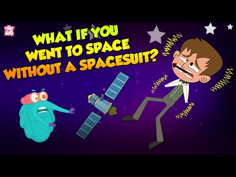 What If You Went To Space Without A Spacesuit? | Space Video | The Dr Binocs Show | Peekaboo Kidz