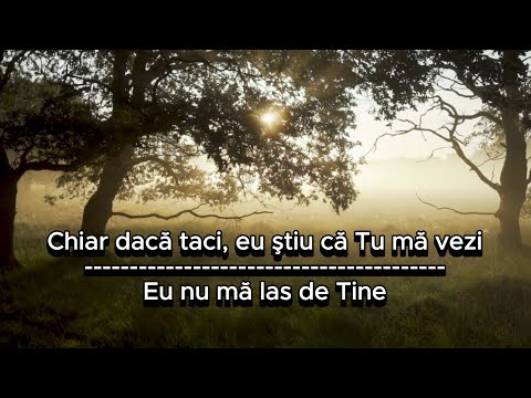 Eu nu ma las de Tine - Claudia Ionescu