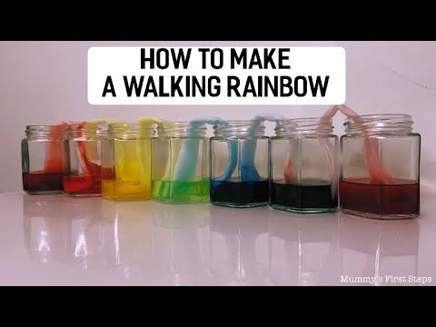 HOW TO MAKE A WALKING RAINBOW | SCIENCE EXPERIMENT FOR KIDS