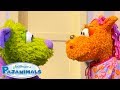 The Staring Contest Pajanimals