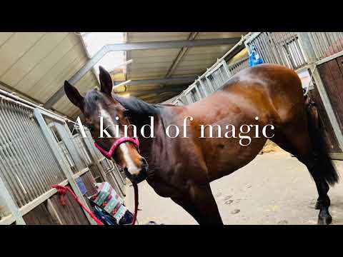 Problempferd? Reitpferd? || Never give up || A kind of magic || Dt.Reitpferd *2010 ||