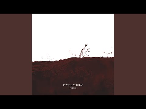 Du Fehlst - Focus