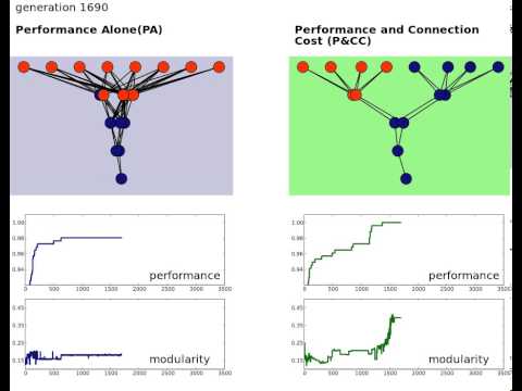 The evolutionary origins of modularity