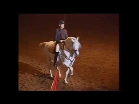 Spanish Riding School Vienna 1994 (6/6) - Solo: Chief Rider Klaus Krzisch & Siglavy Mantua I