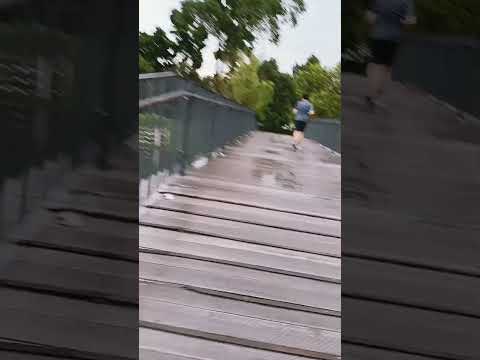 lovely nature ☺️ wow.#nasrin#travel # l love Wild flowers.