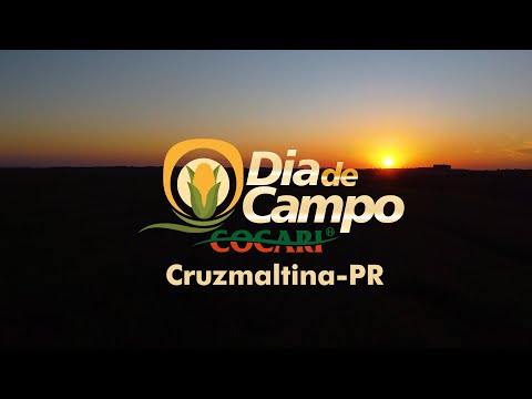 Dia de Campo Digital Cocari - Cruzmaltina/PR