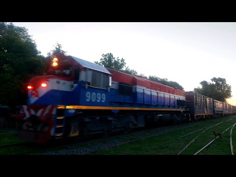 [4K] Tren cargado de NCA con la EMD GT-22CW 9099 pasando por Marcos Juárez al atardecer!!!!!!