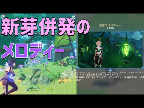 春にクレマチスを剪定し、適切に管理するにはどうすればよいですか？簡単なヒントに従ってください。  庭園