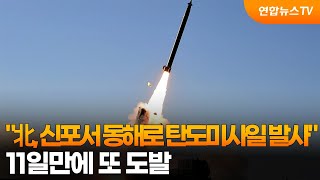 북한, 신포서 동해로 탄도미사일 여러 발 발사 / 연합뉴스TV (YonhapnewsTV)