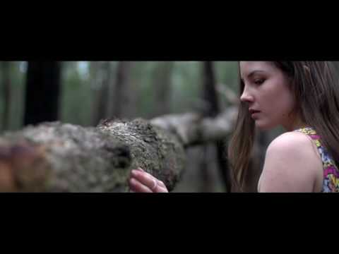 Max Denoise ft Angel Falls - Destiny ( music video )