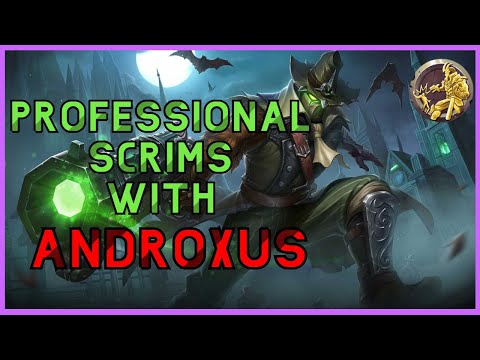 PROFESSIONAL DPS PALADINS SCRIMS - Pro Androxus Gameplay! #3