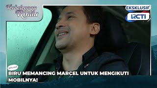 Download lagu #eps443 BIRU MEMANCING MARCEL UNTUK MENGIKUTI MOBILNYA | TERBELENGGU RINDU mp3