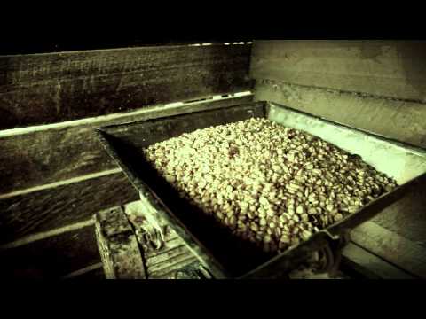 Manifest - Makaa Makaa (Official Music Video)