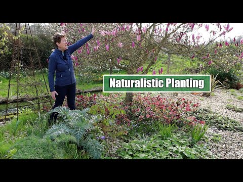 Tips & Tricks for Naturalistic Planting | A Spring Garden Tour & Explain