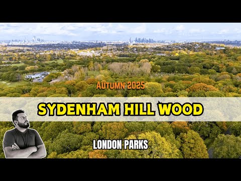 Sydenham Hill Wood in Autumn | Discovering a Hidden Woodland in London