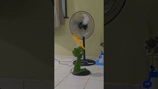 Download lagu Pria Merekam Kipas angin Cosmos Maspion national panasonic matsunichi Sanex #shorts #threads #reels mp3 Download lagu Pria Merekam Kipas angin Cosmos Maspion national panasonic matsunichi Sanex #shorts #threads #reels mp3