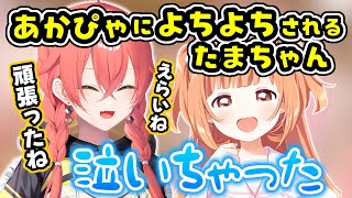 マリカ杯予選敗退後あかぴゃによちよちされるたまちゃん【雲母たまこ/獅子堂あかり/先斗寧/にじさんじ切り抜き】