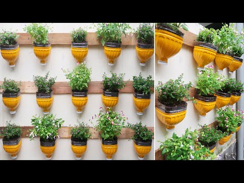 Amazing ideas for Making Flower Pot Recycling plastic Bottles into flower Pot