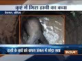 Elephant calf rescued from a pit in forests of Mahulapunji, Dhenkanal (Watch Video)