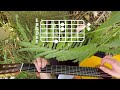 potsu - bossa uh // guitar tutorial