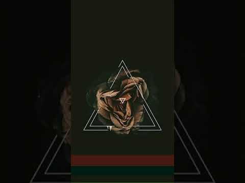 Elsheefra & ILLIAM - Zahmeh