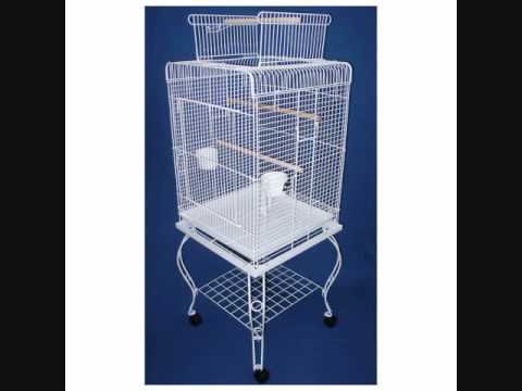 comment nettoyer une cage d'oiseau