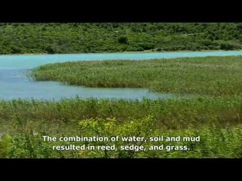 download lagu mp3 mp4 Park Prirode Vransko Jezero, download lagu Park Prirode Vransko Jezero gratis, unduh video klip Park Prirode Vransko Jezero