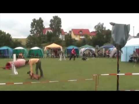 Chilli & Larissa A1 A-Läufe