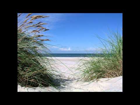 Pac2theO - summer time