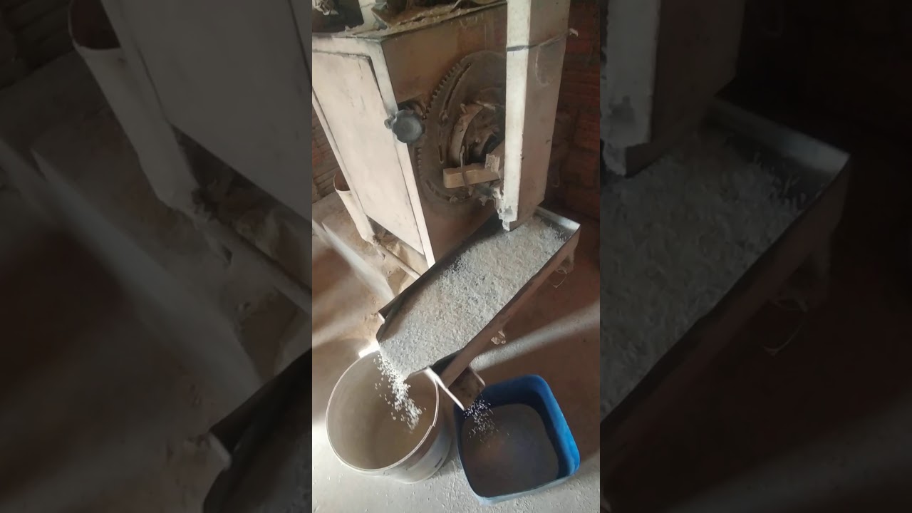 Pilano Arroz na Beneficiadora de Arroz ZX3 / Processo feito no interior do Tocantins ✨