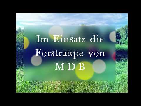 Mäharbeiten mit der Forstraupe - MDB LV 500 + Dragone-Mulcher - B&B Baumfäll-Team Uelzen