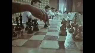 Гений мировых шахмат Михаил Таль