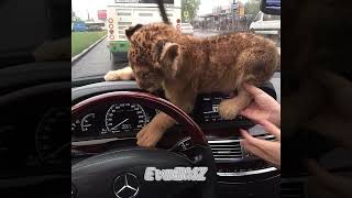 Download lagu Money talks (tik tok version) (slowed and reverb) Remix by EvoDMZ mp3