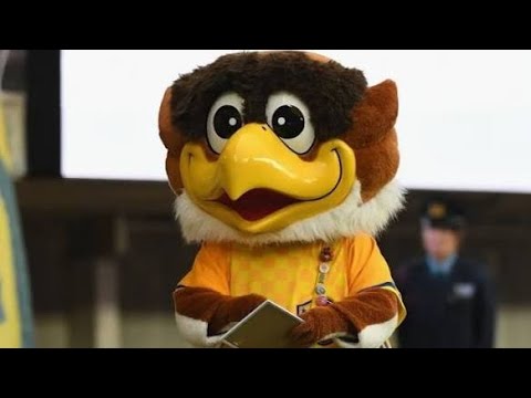 「まさかベガッ太が…1カ月出演停止😨 札幌戦の“ヒグマ”ボードが波紋⚽