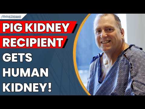 Patient With Pig Kidney Becomes First to Transition to Human ...